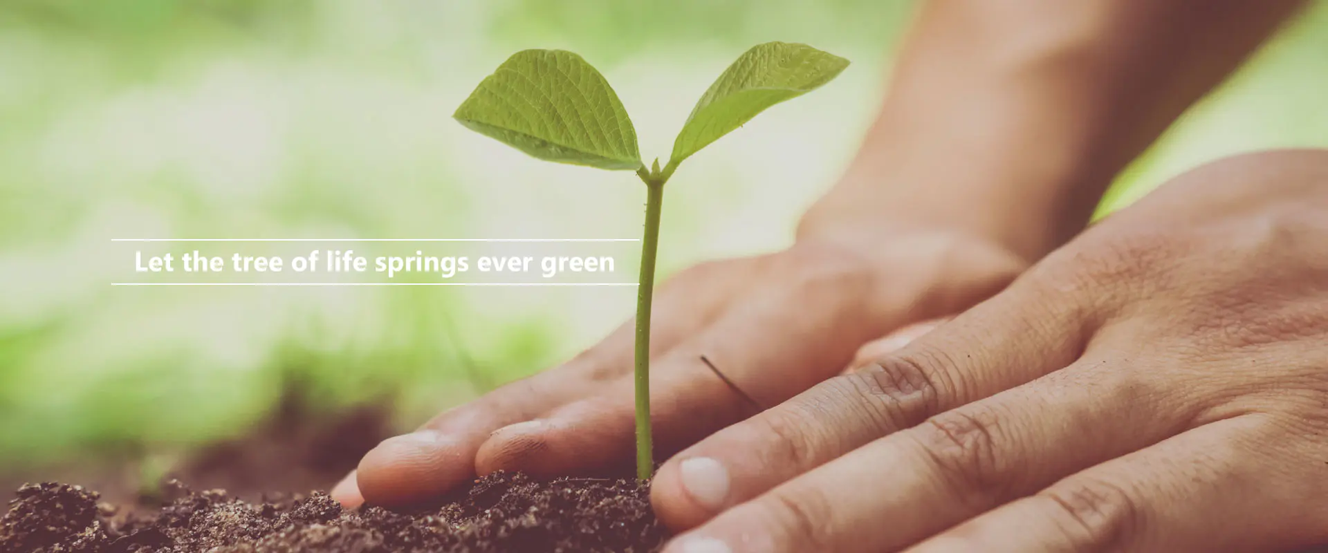 Нека дрвото на животот извира зелено